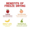thumbnail image 4 of Nature’s Turn Freeze-Dried Fruit Snacks, Blueberry Crisps, Pack of 12 (0.53 oz Each), 4 of 5