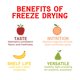 thumbnail image 4 of Nature’s Turn Freeze-Dried Fruit Snacks, Blueberry Crisps, Pack of 12 (0.53 oz Each), 4 of 5