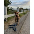 thumbnail image 6 of Doog LEADBFL-S, 6 of 8