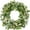 18'', variant on Artificial Spring Summer Christmas Greenery Wreaths for Front Door Green Eucalyptus Leaf Wreath Decor Boxwood with Big Berries for Farmhouse Outside Year Round