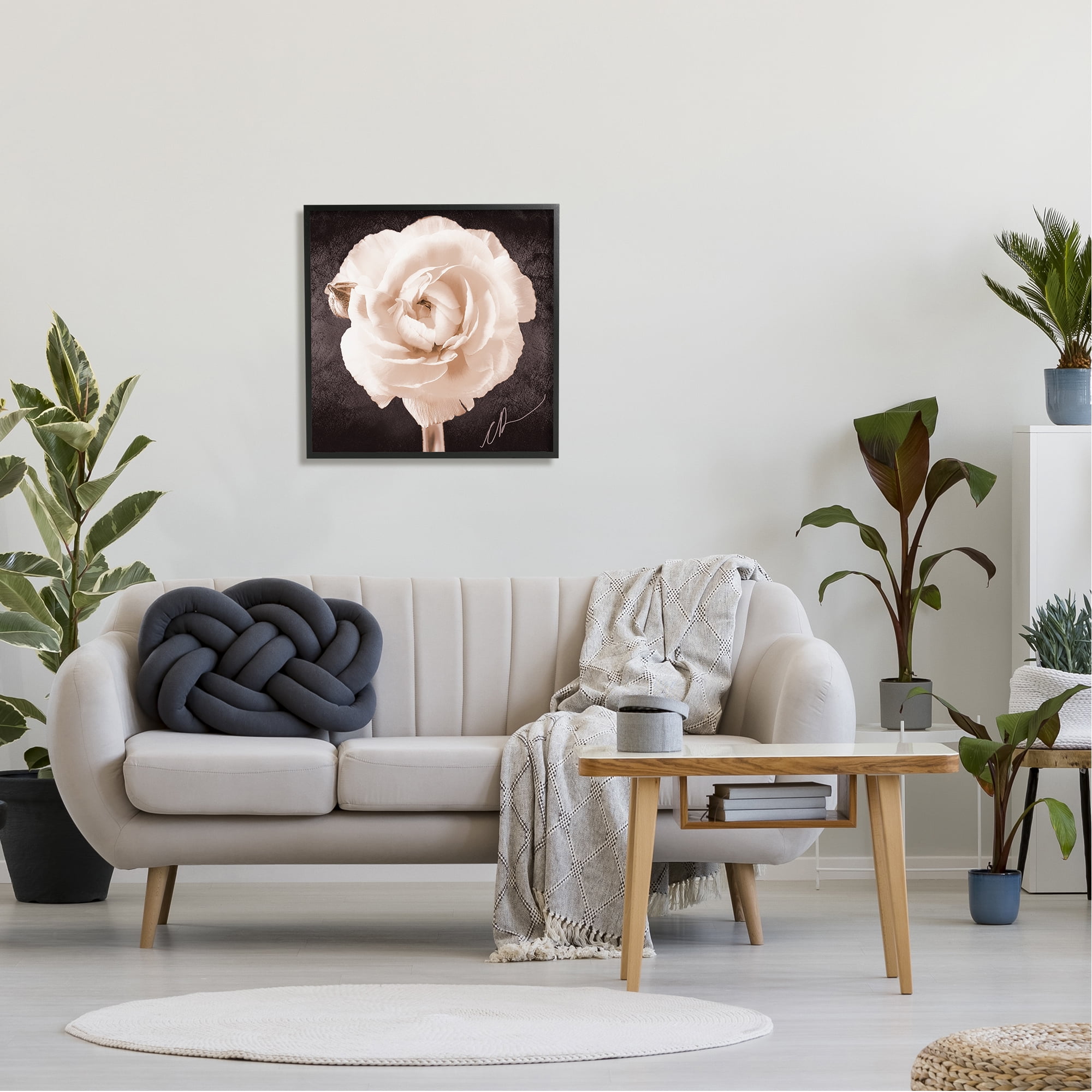 Stupell Industries Vintage Rose Bloom Botanical & Floral Painting Black Framed Art Print Wall Art, 24 x 24