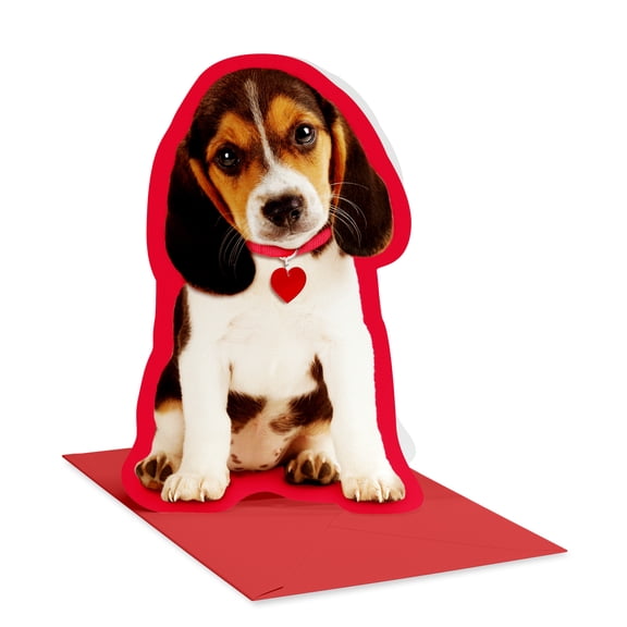 American Greetings Valentine's Day Card for Anyone (Happiest Things)