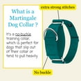 thumbnail image 4 of Country Brook Petz® 1 1/2 inch Teal Martingale Heavyduty Nylon Dog Collar, Medium, 4 of 6