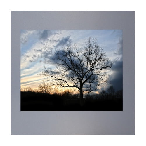 Wallhogs Batie Sunset Tree Wall Mural Walmart Com Walmart Com