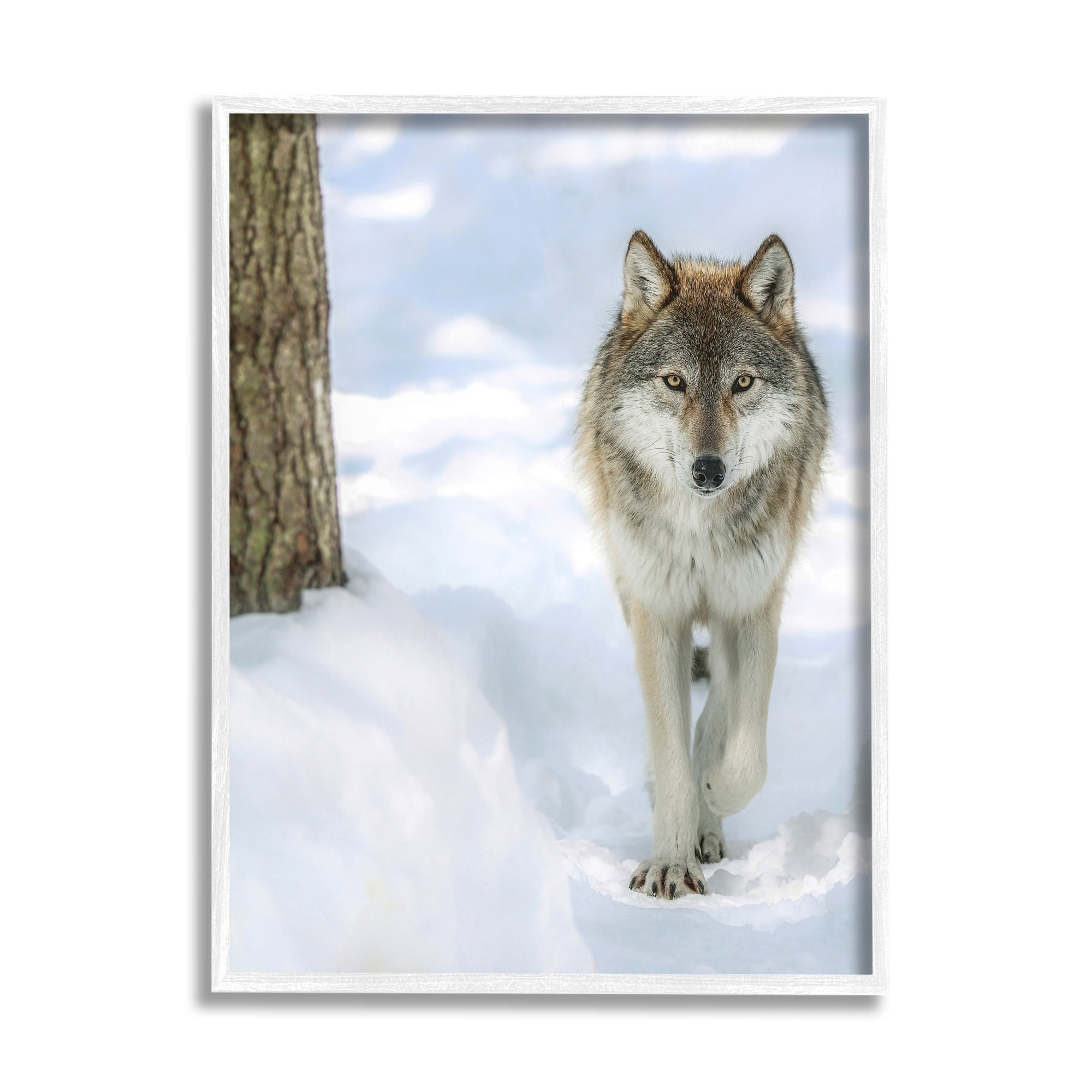Stupell Industries Wild Wolf Winter Snow Photography Animals & Insects Photography White Framed Art Print Wall Art