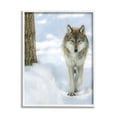 thumbnail image 4 of Stupell Industries Wild Wolf Winter Snow Photography Animals & Insects Photography White Framed Art Print Wall Art, 4 of 5