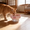thumbnail image 6 of Pet Bowls Dog Bowls Cat Bowls Ceramic Elevated Neck Friendly Spill Proof Non Slip Easy Clean Food Water Treat Bowl for Cats Small Medium Dogs Indoor by PALIFEUR, 6 of 7
