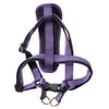 Vibrant Life Polyester Comfort Step-in Dog Harness, Purple, Large