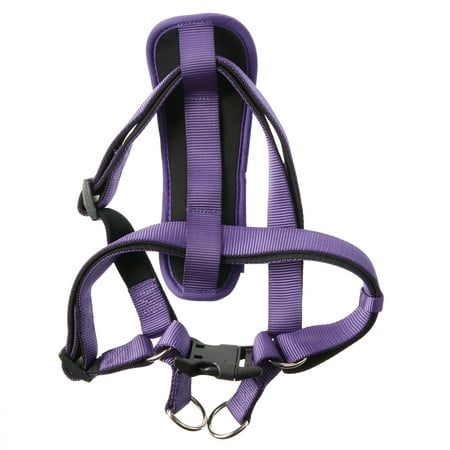 Vibrant Life Polyester Comfort Step-in Dog Harness, Purple, Large
