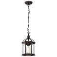 thumbnail image 4 of Nuvo 60-4978 - Boxwood - 1 Light - 14" Outdoor Hanging W/ Clear Beveled Glass, 4 of 5
