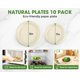 thumbnail image 2 of Juego de platos de papel desechables BSDPREF, 250 piezas, compostables, 2 of 9