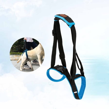LEORX Assistive Belt for Disabled Dogs Blue Support Walking Pet Traction Belt 1Pack