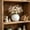 White, variant on Specollect 1 Pcs Decorative Vase for Dried Flowers and Pampas Grass, Small Tabletop Centerpiece for Home Office Desk, Shelf Decor, Modern Round Planter for Floral Arrangements M