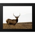thumbnail image 2 of Delimont, Danita 24x20 Black Modern Framed Museum Art Print Titled - National Bison Range, 2 of 5