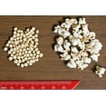 thumbnail image 4 of WHITE POPPING SORGHUM SEED,Grain, floral arrangements (dried or fresh flower)(3000 Seeds), 4 of 4