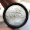 thumbnail image 5 of Compact 20x Magnifying Glass Aluminum Alloy Cylinder Magnifi, 5 of 5