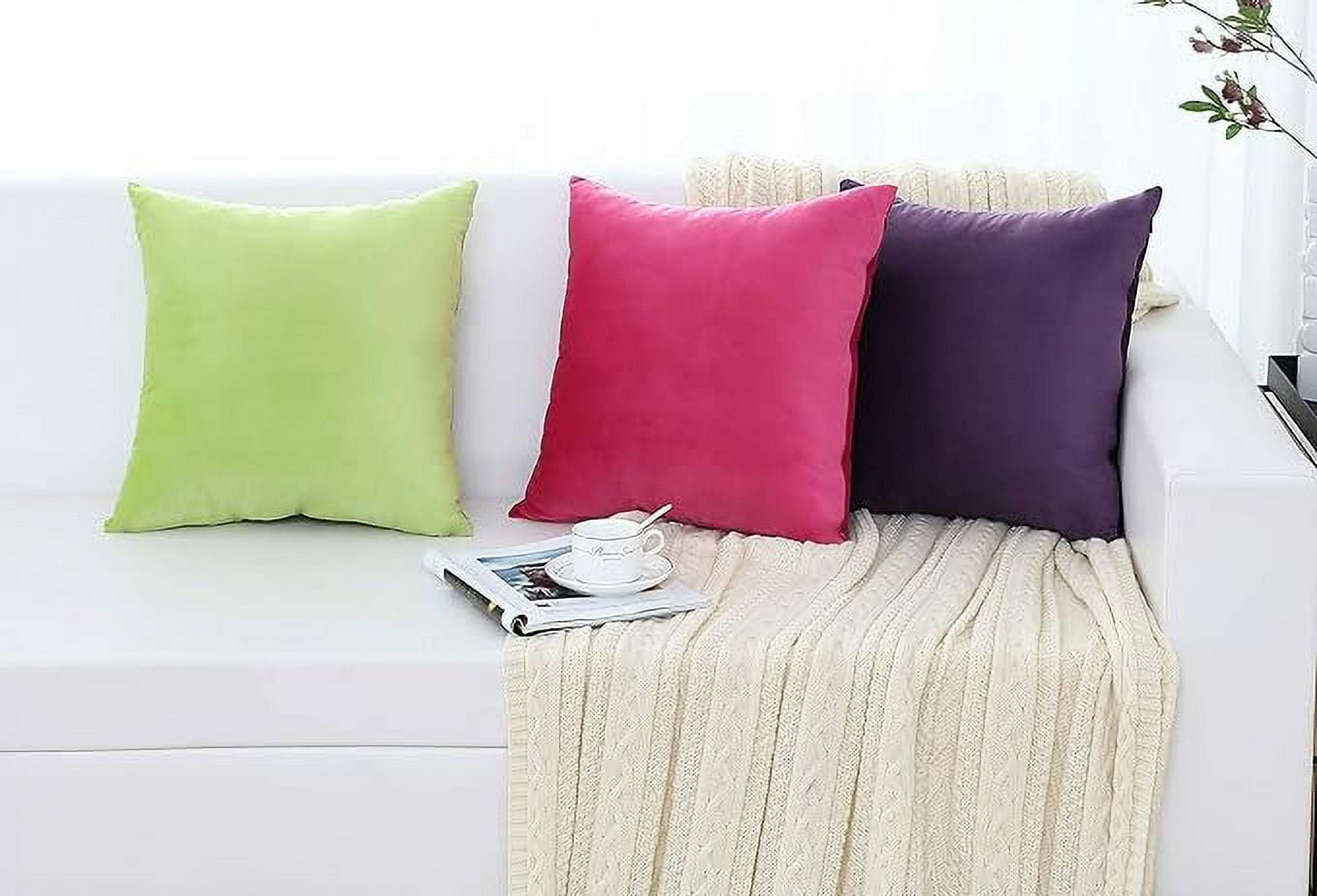Cterwk Set of 2 Soft Velvet Throw Pillow Cover with Zipper, Decorative Solid Square Cushion Cases for Bedroom Car Sofa Couch, 20 x 20inch