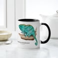 thumbnail image 6 of CafePress - Parson's Chameleon Mug - 11 oz Ceramic Mug - Novelty Coffee Tea Cup, 6 of 6
