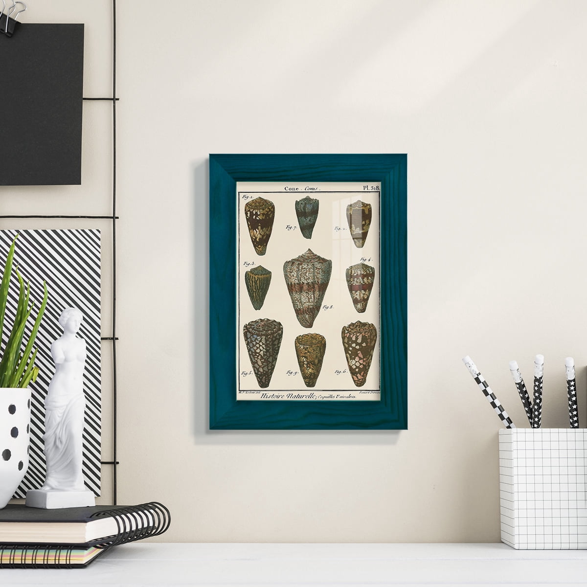 Cone Shell pl. 318 -Framed Print w/glass-Ocean Blue