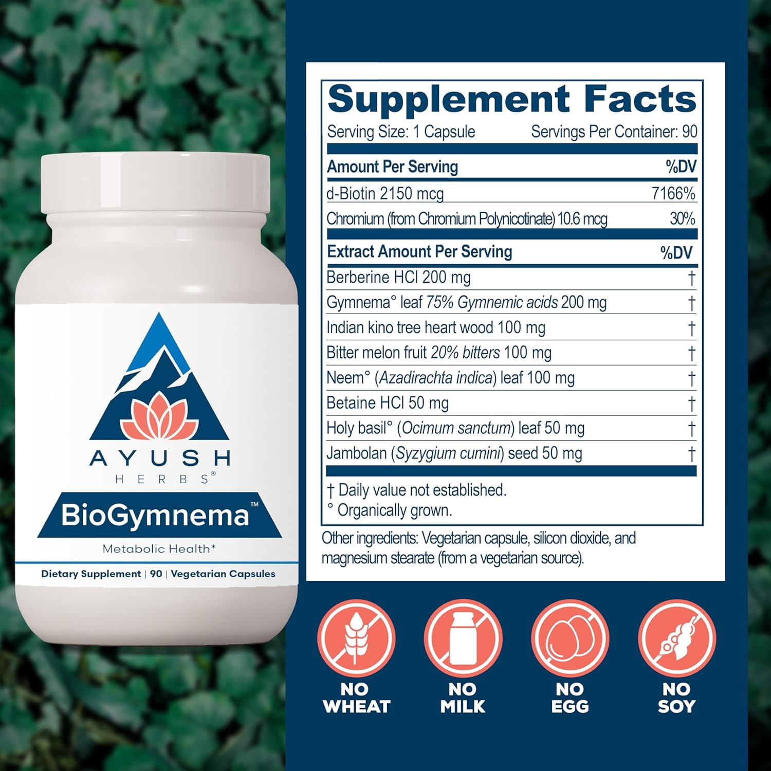Ayush Herbs BioGymnema Metabolic Support Supplement with Berberine and Chromium, 90 Capsules