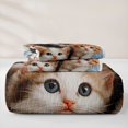 thumbnail image 5 of jejeloiu Pet Animal Kittens Bed Spread Queen Kids,Cute Cat Print Queen Coverlet Set,3-Piece, 5 of 7
