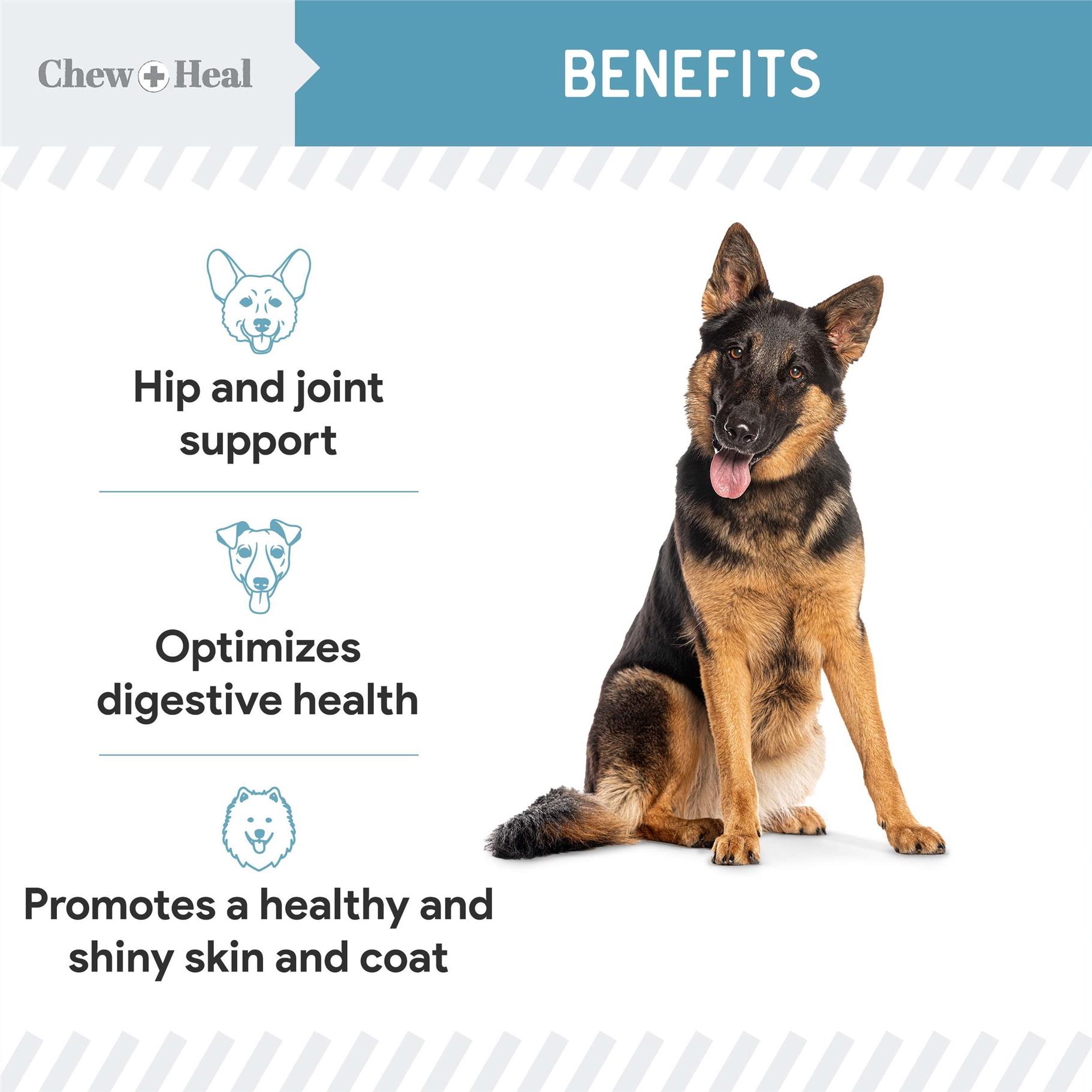 Chew + Heal 12-in-1 Multivitamin Powder for Dogs, 14 oz - with Glucosamine, Omega 3,6,9, Vitamins, and Probiotics
