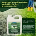 thumbnail image 3 of Bettr Lawn Liquid Aeration Soil Loosener with Humic & Fulvic Acid, 32 oz, 3 of 7