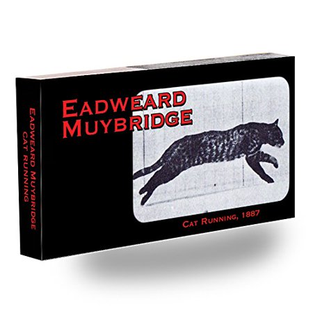 Fliptomania Muybridge Horse Flipbook - Animated Galloping Horse, Handheld Movie