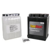 EverStart EBX14AH-BS AGM Dry PowerSport 12 Volt Battery