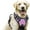 D, variant on Pet Vest PawSafety No Pull Harness for Dogs and Cats - Durable Comfortable and Safe for Indoor and Outdoor Use