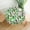 Cactus Flowers-a21, variant on Watercolor Cactus Tablecloth, Tropical Plant Cacti Table Cloth for Party Decoration, Round 60 Inch, Cactus Plants Tablecloths for Dinner Kitchen Party Picnic