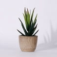 thumbnail image 3 of Travelwant Artificial Succulent Plants, Fake Plants Small Plants in White Ceramic Potted, Mini Decorative Faux Succulents for Window Sills, Bathrooms, Office Spaces, Desk, Bookshelf and More, 3 of 6