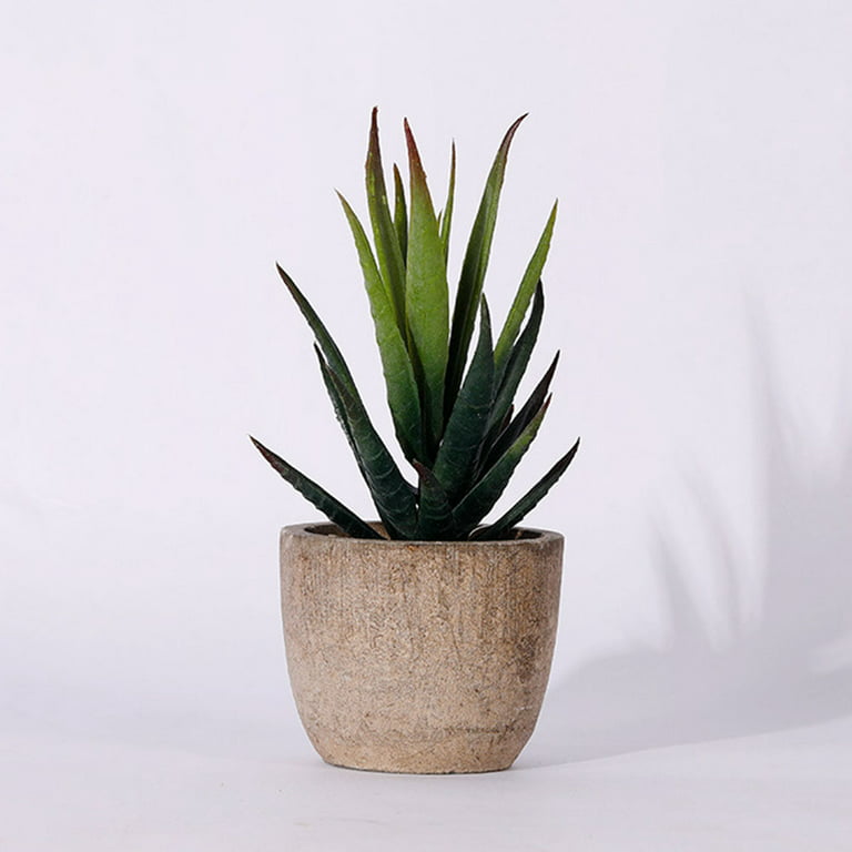 Fake Plants You'd Swear Are Real