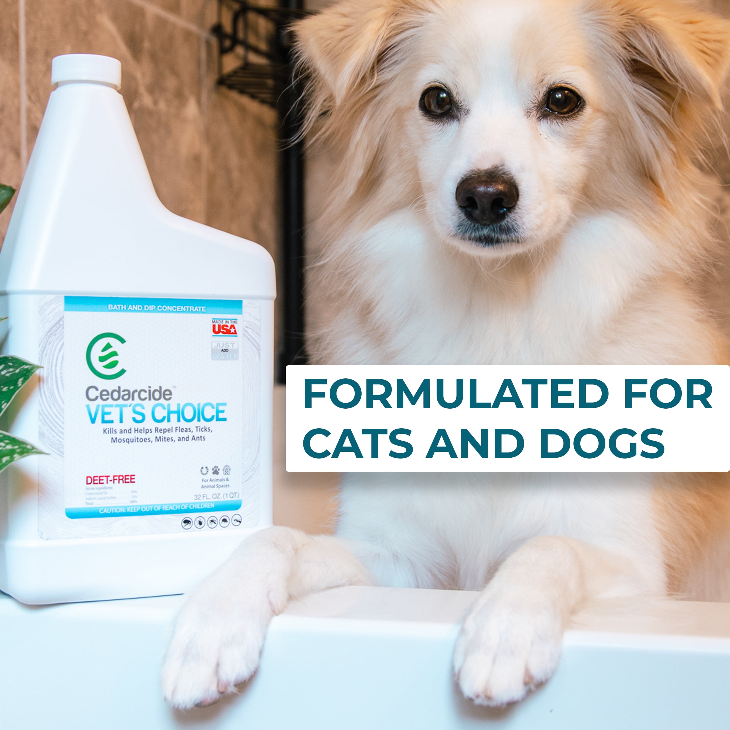flea and tick dip for dogs walmart