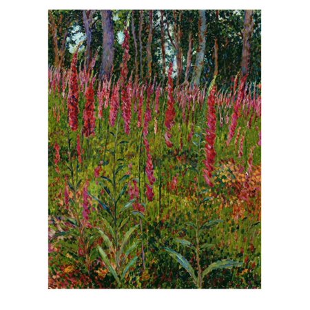 Foxgloves, c.1916 Print Wall Art By Georges Lacombe