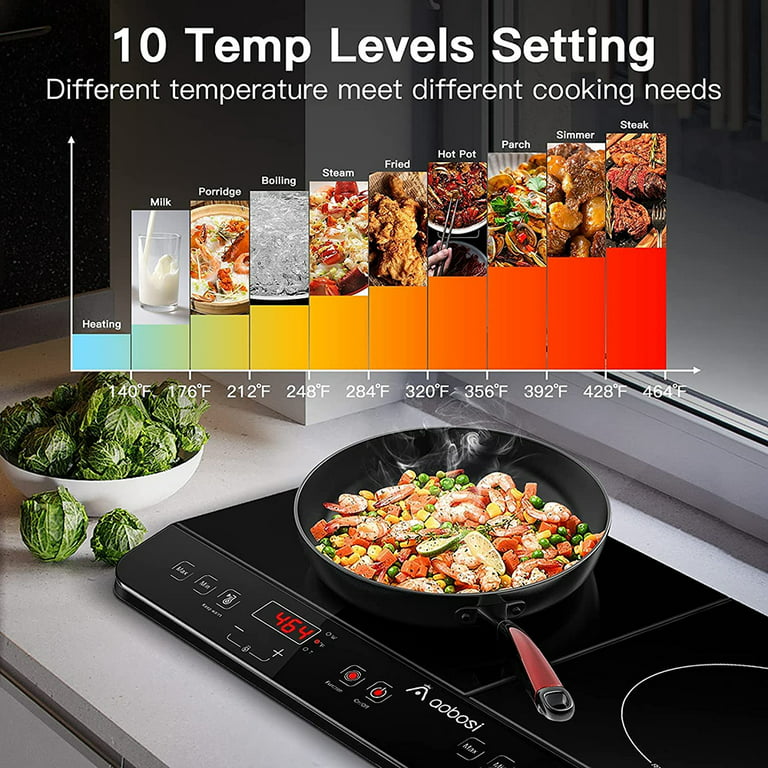 Duxtop Portable Induction Cooktop, Silver 9600LS/BT-200DZ & Ceramic  Non-stick Frying Pan, Stainless Steel Induction Frying Pan, 8-Inch Stir Fry  Pan