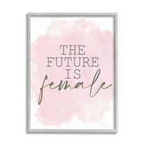 Stupell Industries Future is Female Phrase Abstract Pink Texture Gray Framed by Kim Allen