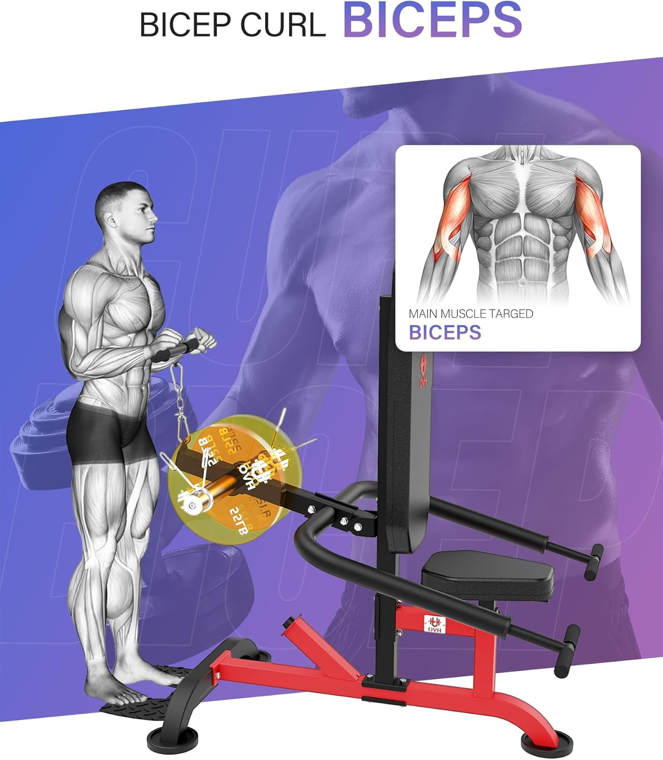 HVO Seated Dip Machine Tricep: Dip Machine Exercise for Biceps Plate Loaded Home Gym Strength Training Equipment
