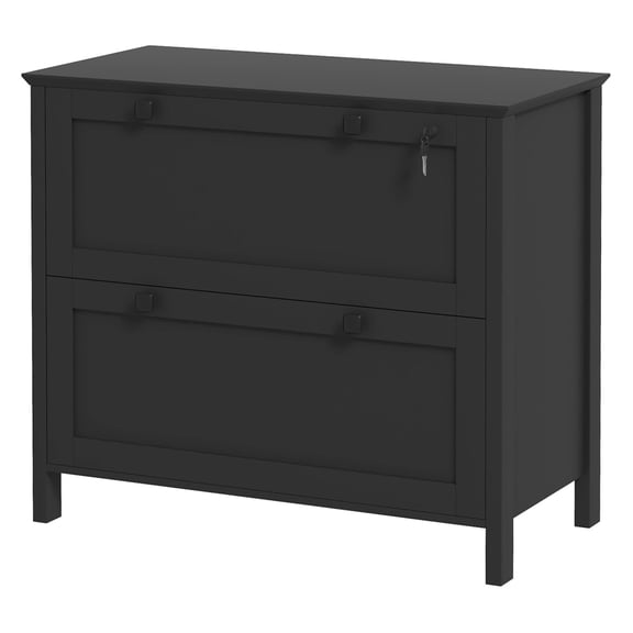 Lateral File Cabinet 2 Drawer, Black Filing Cabinet with Adjustable Hanging Bar for Letter, A4, Legal Size Documents - Office Storage