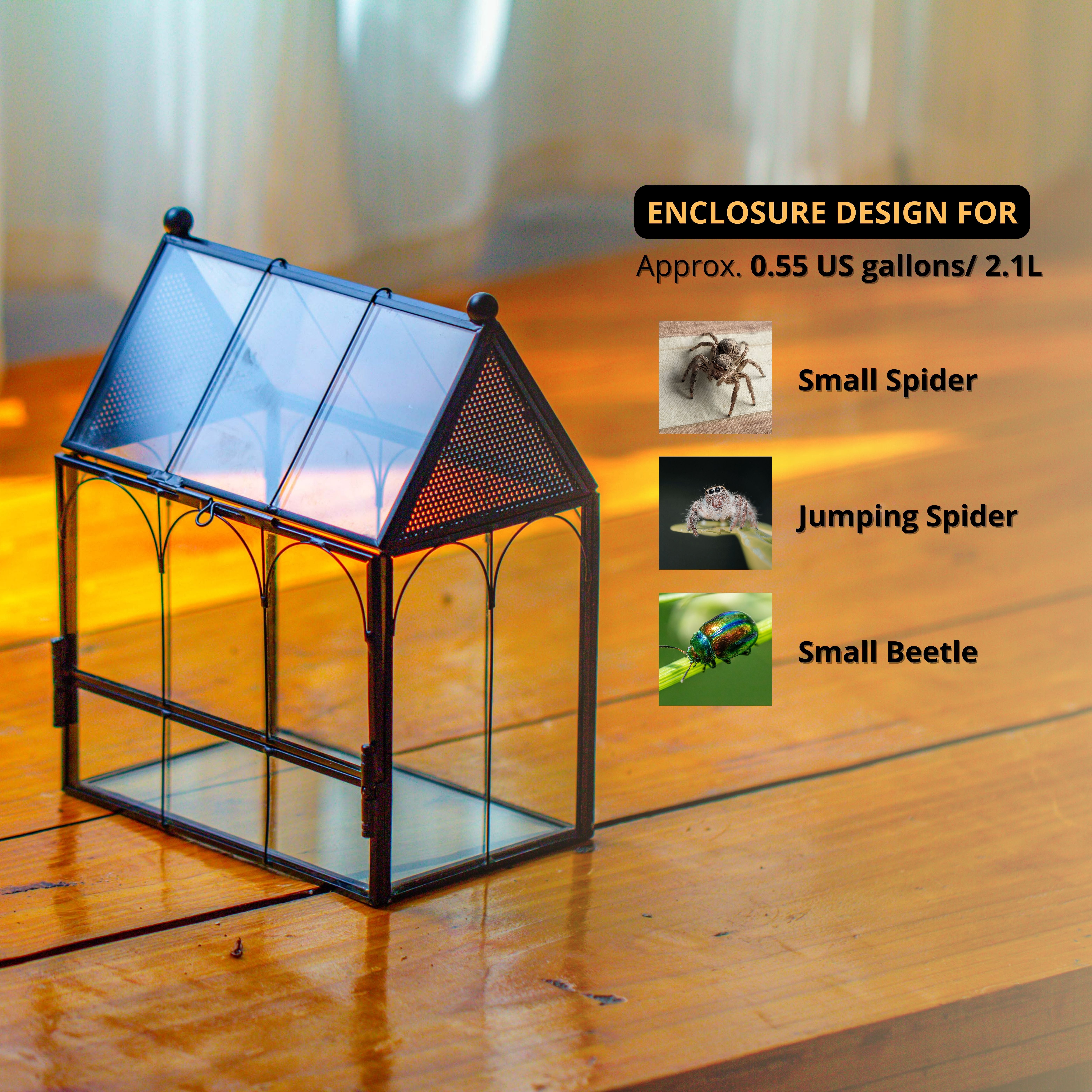 NCYP Small House Shaped Spider Enclosure Terrarium with Mesh, and Front Opening Door, Stainless Steel and Glass, Jumping Spider Small Insect Habitat, Terrarium Only