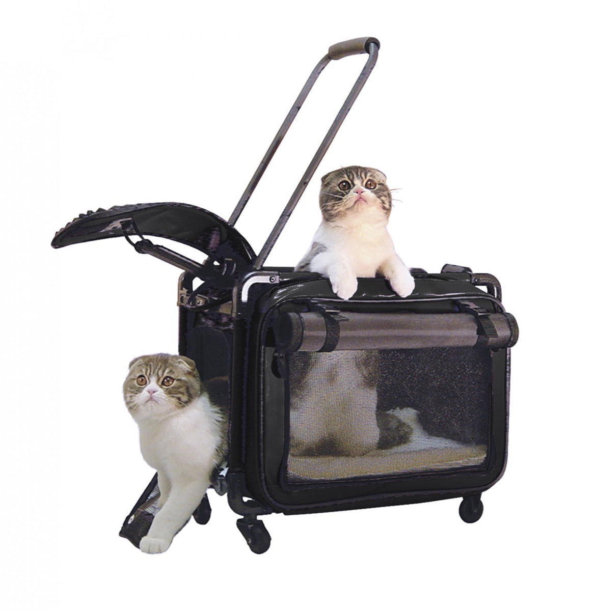 Tutto Lightweight Foldable Wheeled Pet Carriers (Black, Medium