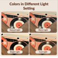 thumbnail image 7 of Design&I 6'x9' Ultra Soft Area Rug, Record Vintage Music Disc Guitar Striped Musical Instrument Cd None Fluffy Washable Non Shedding for Guest Room Bedroom Living Room, 7 of 7