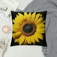thumbnail image 2 of PIKWEEK  Throw Pillow Covers Sunflower Yellow Black Sun Flowers Decor Pillowcases Square Hidden Zipper Home Cushion Decorative Pillowcase, 2 of 5