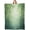 Bamboo, variant on Peach Blanket Fresh and Juicy Fruit Throw Blankets with Green Leaves,Birthday Gifts for Women Girls,Lightweight Soft Fleece,for Sofa Couch Bed Room Summer Romantic Decor 50x60in