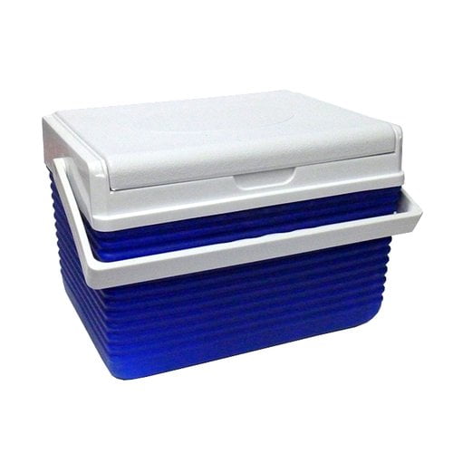 Tectron 6 Pack Cooler