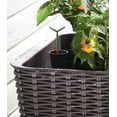 thumbnail image 6 of Keter Resin Elevated Garden, All Weather, Self-Watering Plastic Planter, Brown Rattan, 6 of 17