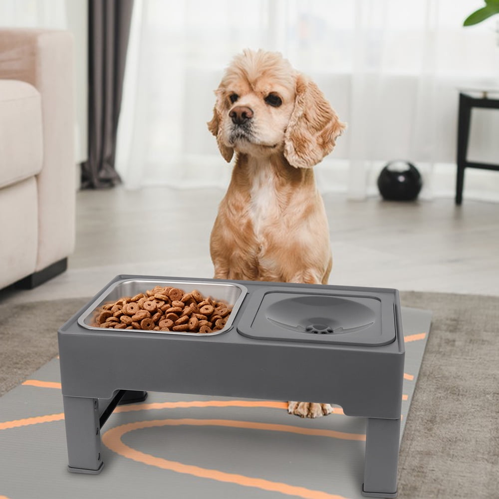 Taglory Elevated Dog Bowls with Stainless Bowl, Adjust 4 Heights for Small Medium Large Dogs, Gray