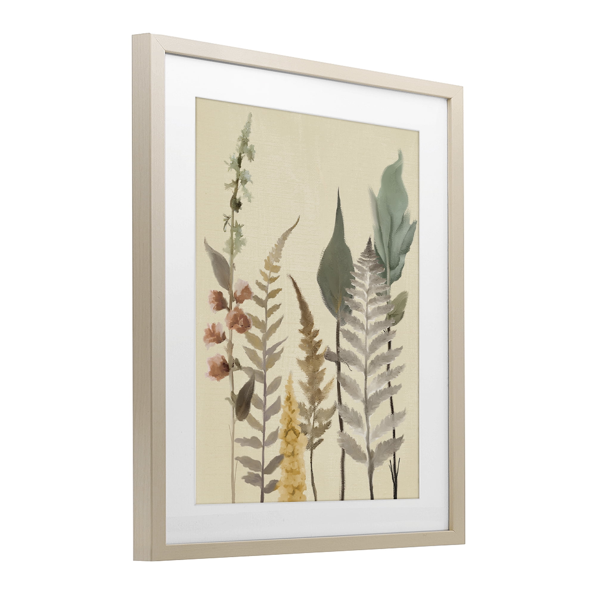 Stupell Industries Fall Botanicals Forest Ferns Birch Framed Print Under Glass, design by Elizabeth Medley