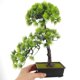 thumbnail image 5 of NUOLUX Bonsái Falso Decorativo Verde Ideal Para Escritorio Y Estantería Sin Mantenimiento, 5 of 6
