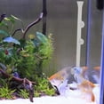 thumbnail image 2 of 1 Set/2PCS Shrimp Feeder with 35cm Glass Shrimp Feeding Tube and Feeding Plate, 2 of 4